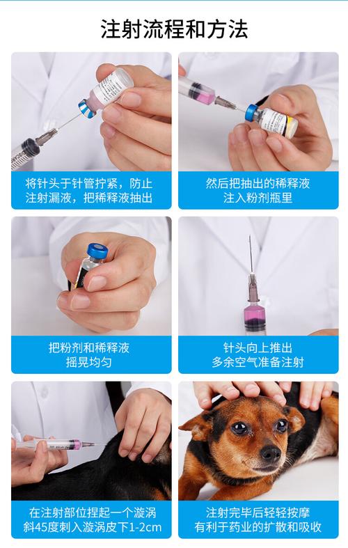 輝瑞衛佳與瑞必威 狗狗狂犬疫苗及幼犬核心疫苗全指南